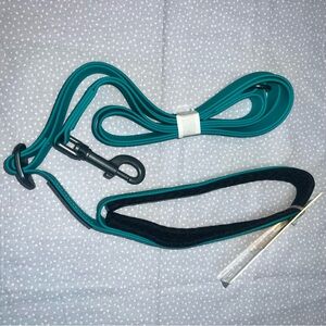 OllyDog Teal Dog Leash Waterproof